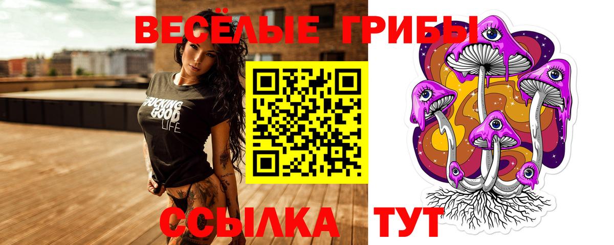 Сальск  Галлюциногенные грибы MAGIC MUSHROOMS  Псилоцибиновые грибы Psilocybe  Вход с VPN 